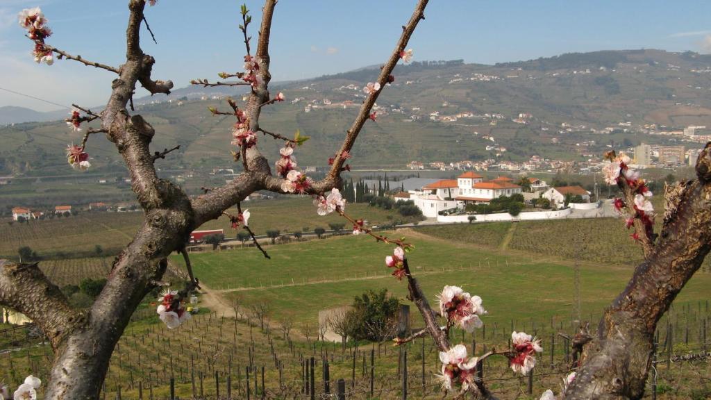 Quinta De Tourais 호텔 라메구 외부 사진