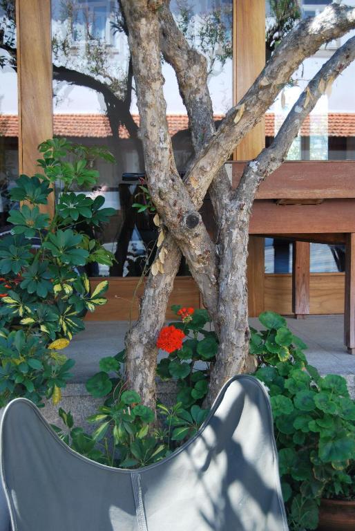 Quinta De Tourais 호텔 라메구 외부 사진