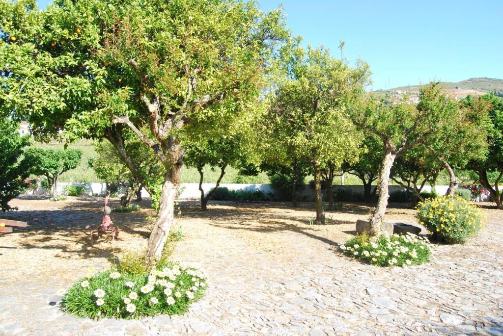 Quinta De Tourais 호텔 라메구 외부 사진